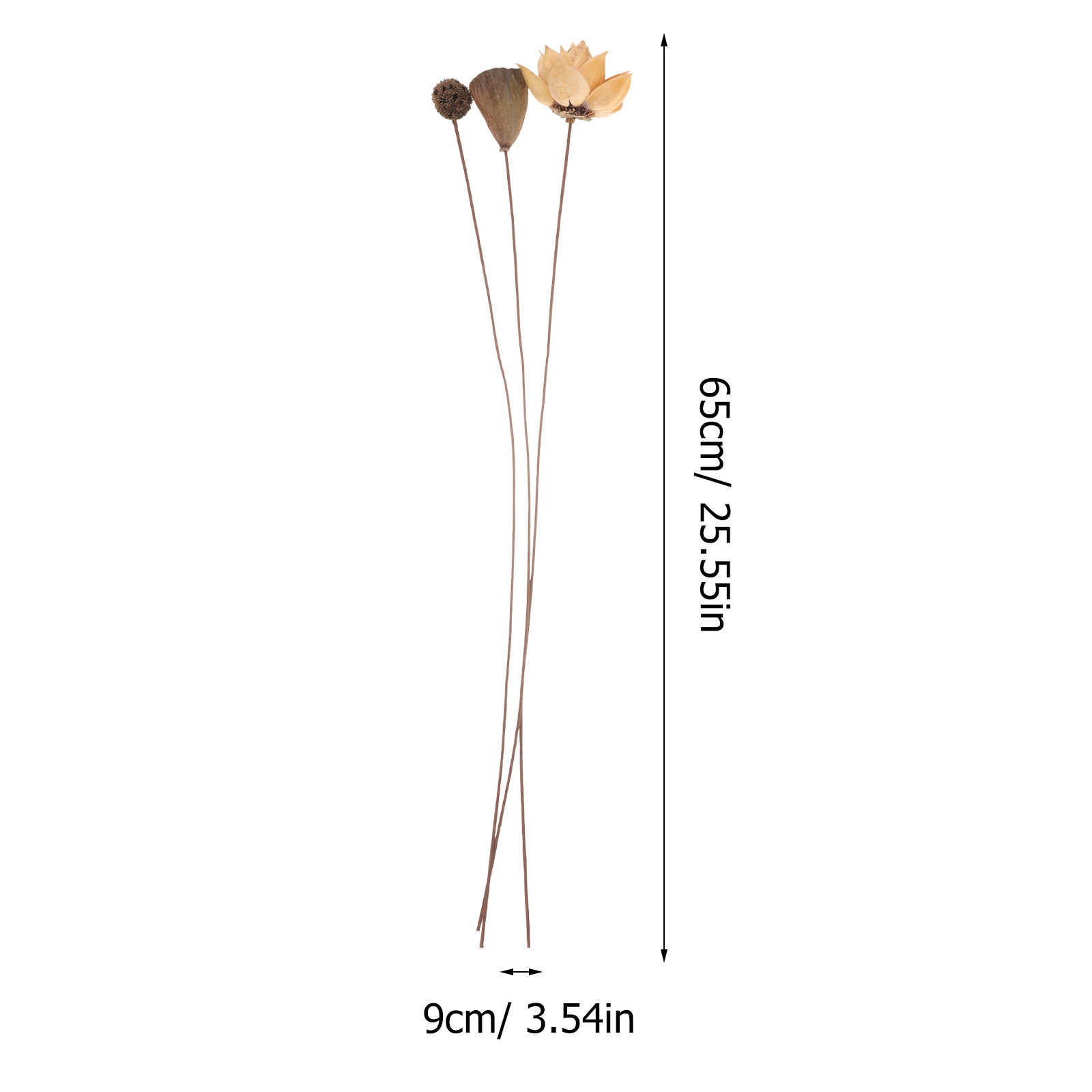 1 Set Kurutulmuş Lotus Çiçeği  - Home Decor Zen Style incelemesi ve fiyatı
