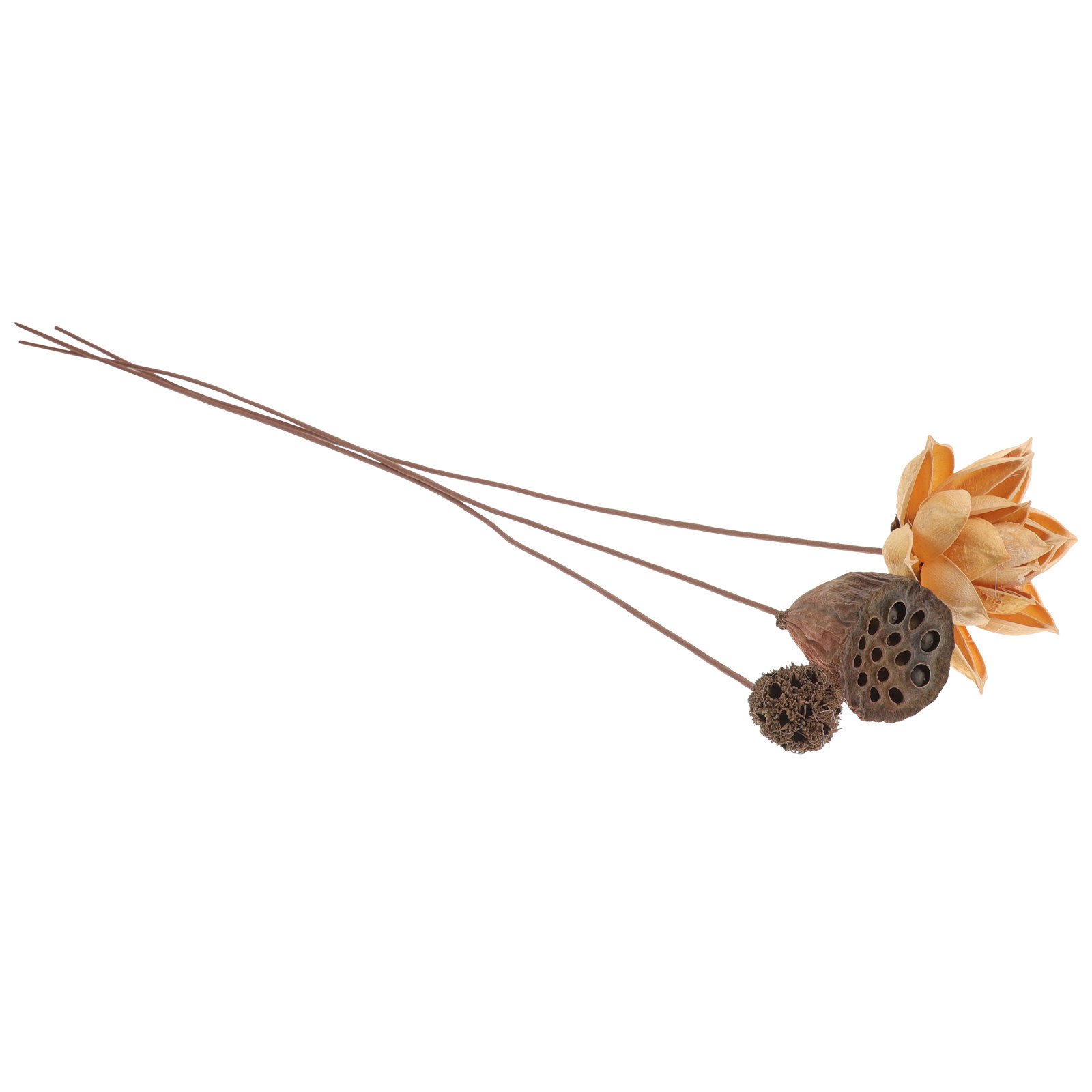 1 Set Kurutulmuş Lotus Çiçeği  - Home Decor Zen Style incelemesi ve fiyatı